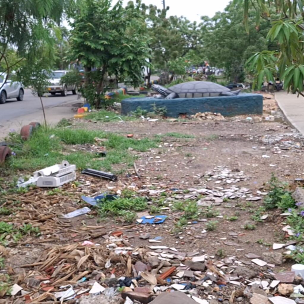 Basuras acumuladas en barrio Ceballos preocupan a la comunidad