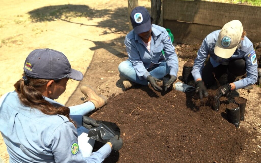 Jornada ambiental en la Vía Parque por el Día Internacional de la Defensa del Manglar.