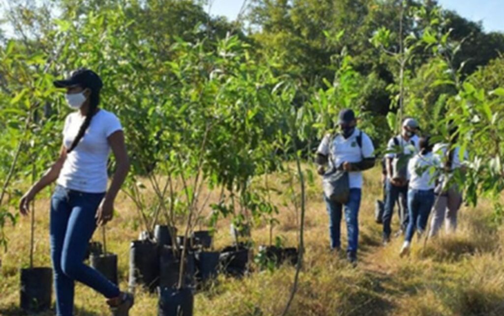 Jóvenes en formación ambiental en viveros comunitarios urbanos. 