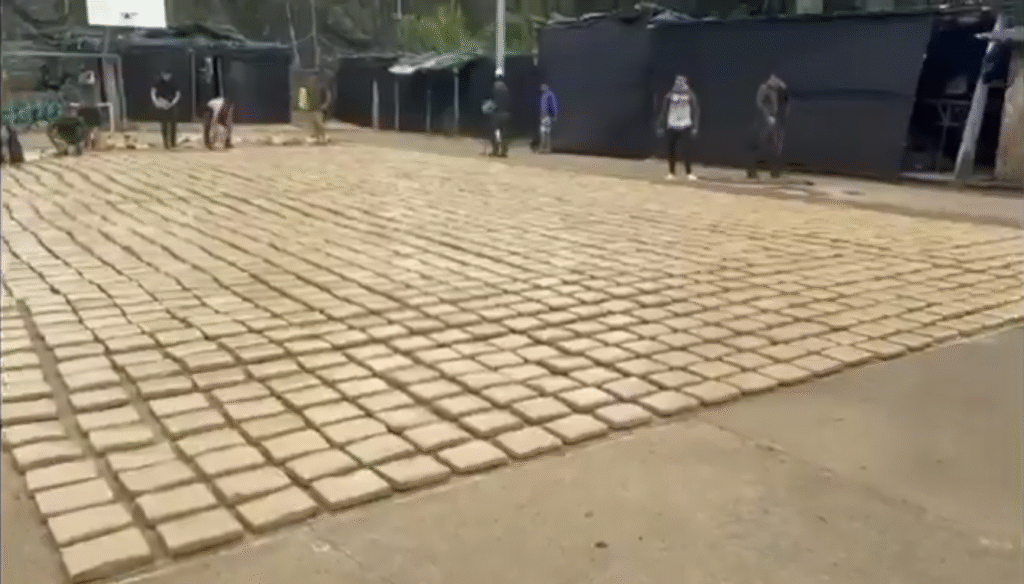 Policía incauta droga de disidencias en Jambaló, Cauca.
