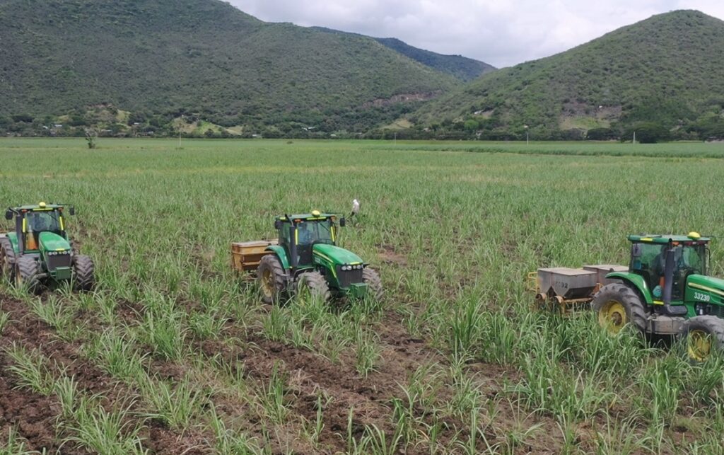 El agro colombiano reduce consumo de agua y fertilizantes con nuevas prácticas.