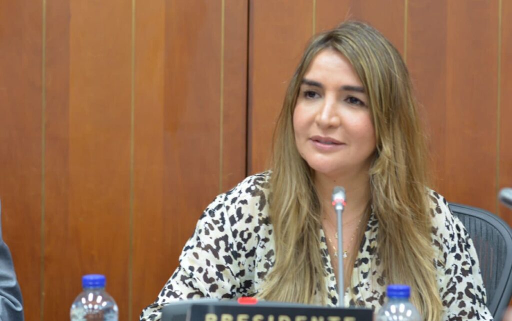 La senadora Nadia Blel criticó la Reforma a la Salud en la Comisión Séptima. 