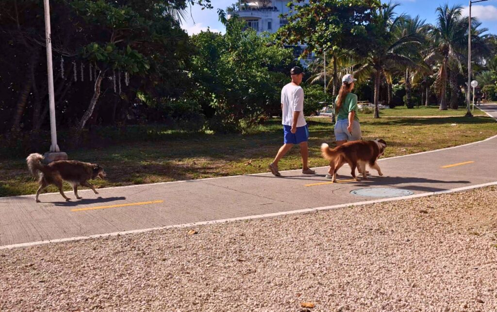 Propietarios pasean a sus perros en el parque lineal de Crespo mientras avanza la campaña Cagarla es no recogerla para fomentar la limpieza del espacio público.