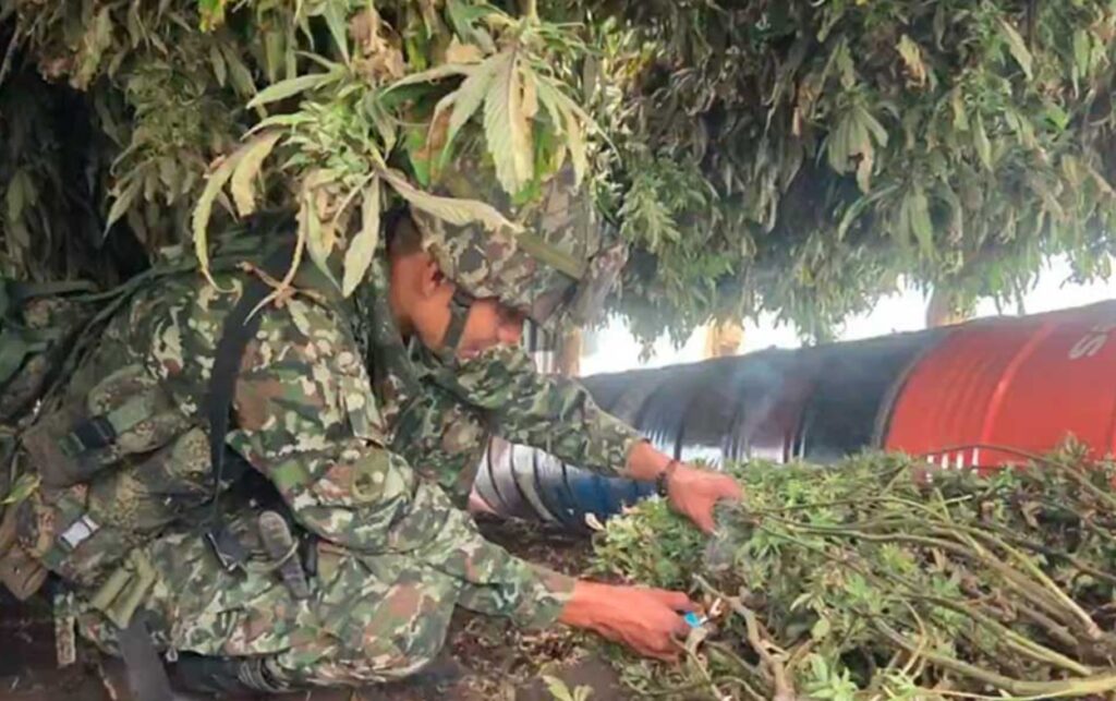 Operativo militar contra economías ilegales en la frontera, uno de los ejes del debate por la tasa de seguridad del 30%. 