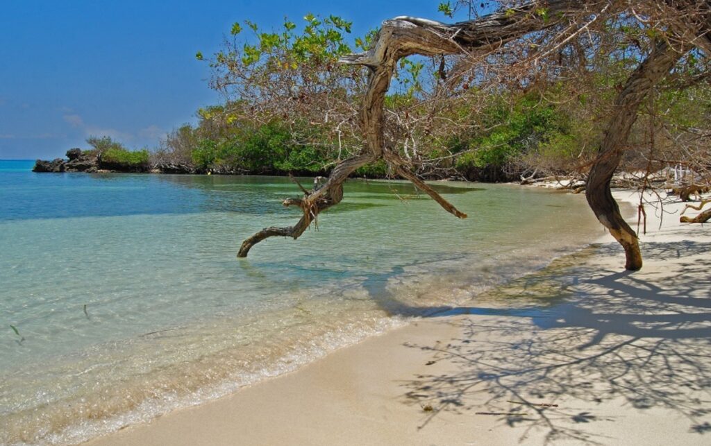 Playa de aguas tranquilas en el Parque Nacional Natural Corales del Rosario, área de uso ecoturístico con Seguro Obligatorio vigente.