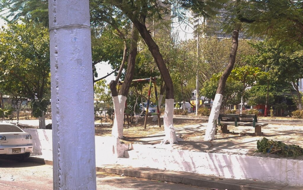 Propaganda electoral_ parque de Cartagena donde el Distrito prohíbe pintar muros y árboles.
