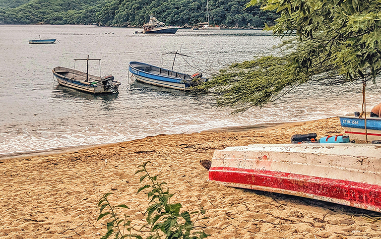 Entrega masiva de tierras por la Agencia Nacional de Tierras.