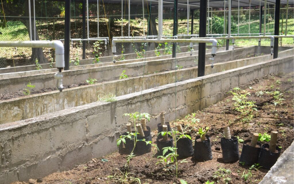 Más de 30 años de Niños de Papel impulsando procesos terapéuticos en espacios de cultivo y bienestar en Cartagena. Infomilenials.com
