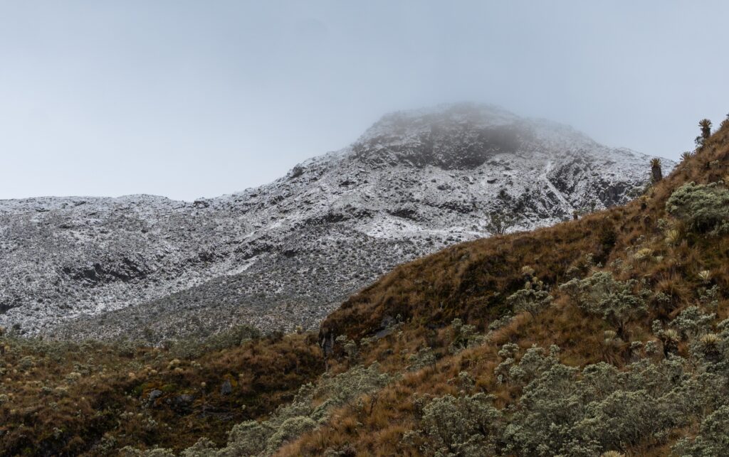 Vista del páramo andino con montañas cubiertas de nieve en el Parque Nacional Natural Los Nevados, un destino natural que atrae a más de 95 mil visitantes.