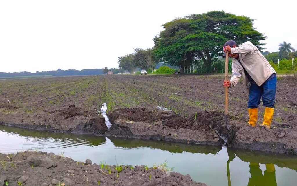 El agro colombiano incorpora innovación tecnológica para mejorar la productividad..