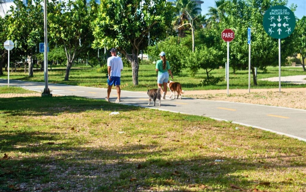 Cagarla es no recogerla: campaña cívica en Cartagena Recorrido por el parque lineal de Crespo en la campaña Cagarla es no recogerla, mostrando tránsito de mascotas y la importancia de mantener limpio el sendero.