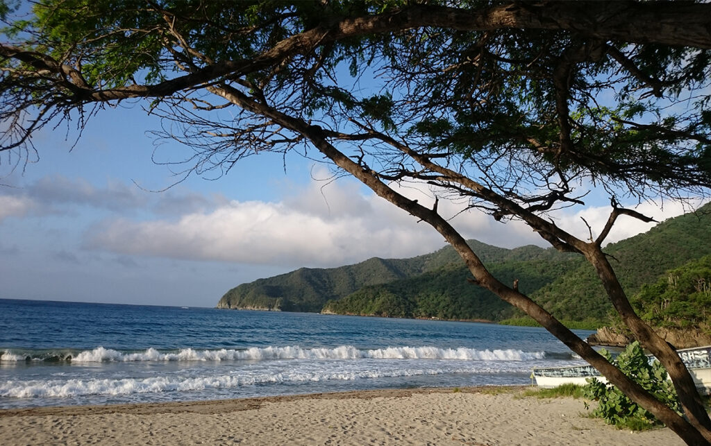 Playa del Parque Tayrona sin visitantes durante cierre ambiental de febrero.