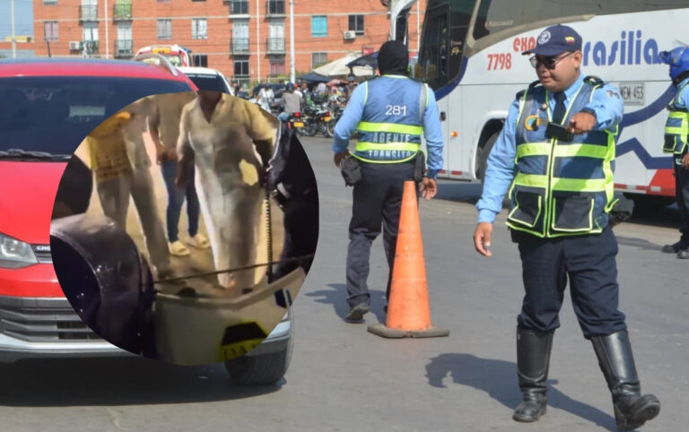 Sindicato de tránsito alerta presiones tras procedimiento Agente de tránsito explica modalidad de transporte especial en video viral. I