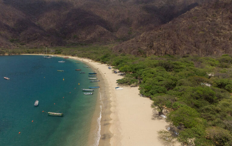 Presidente Petro en acto de la Línea Negra en la Sierra Nevada.